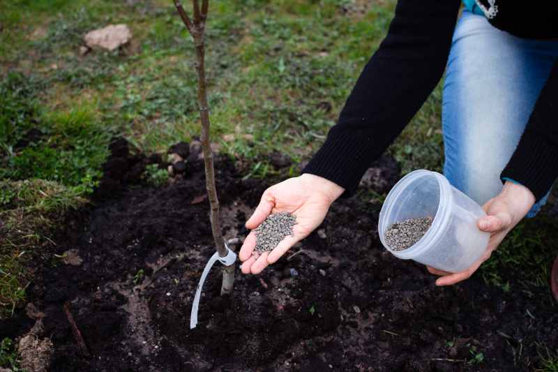 Jak spulchnić glebę w ogrodzie: metody ręczne i maszynowe