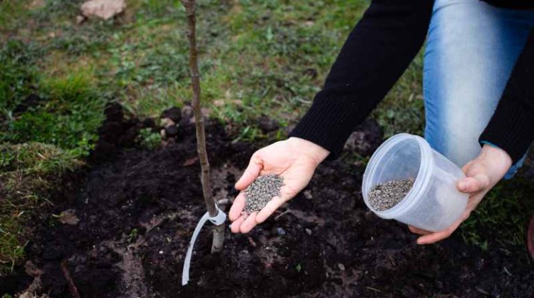 Jak spulchnić glebę w ogrodzie: metody ręczne i maszynowe